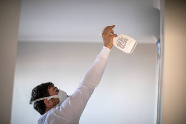 Best Crawl Space Mold Removal  in South Huntington, NY