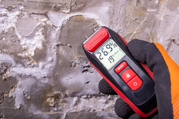 South Huntington, NY Mold Removal Company