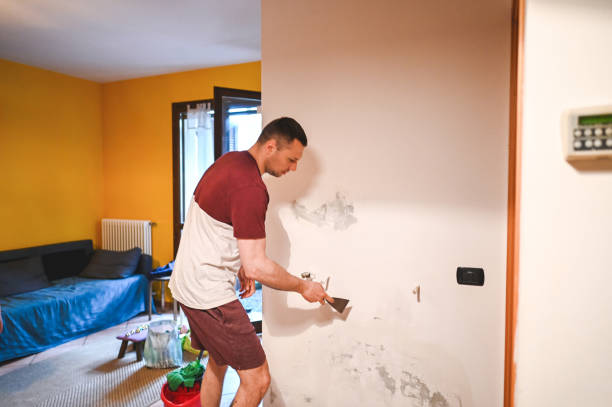 Best Residential Mold Removal  in South Huntington, NY